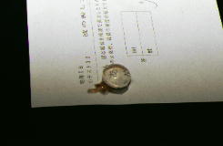 牛の眼の解剖１０